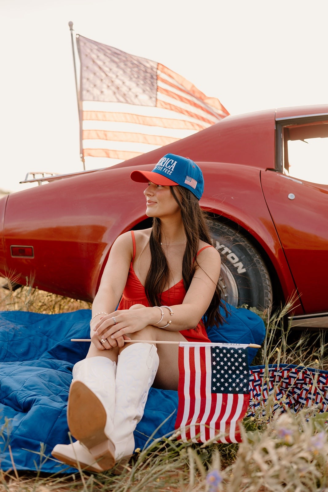 America Land of the FREE